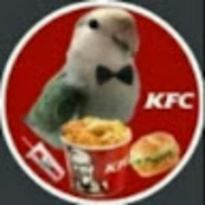 Meet your Posher, Frank